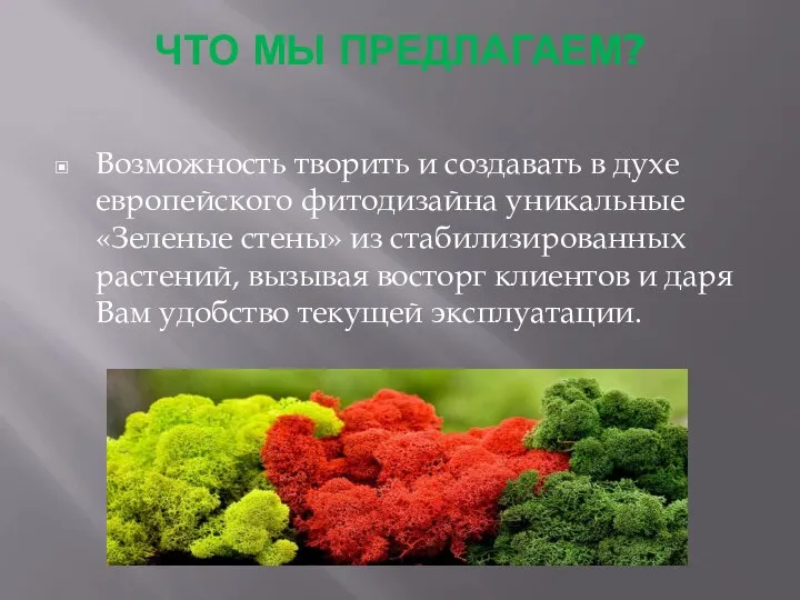 ЧТО МЫ ПРЕДЛАГАЕМ? Возможность творить и создавать в духе европейского фитодизайна уникальные