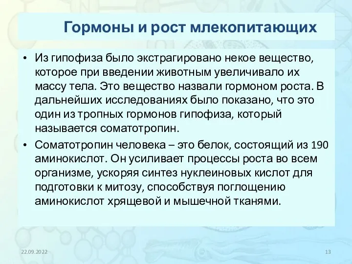 Гормоны и рост млекопитающих Из гипофиза было экстрагировано некое вещество, которое при