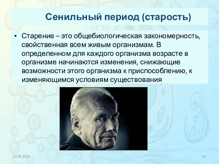 Сенильный период (старость) Старение – это общебиологическая закономерность, свойственная всем живым организмам.