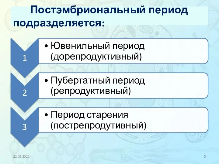 Постэмбриональный период подразделяется: 22.09.2022