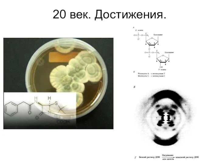 20 век. Достижения.