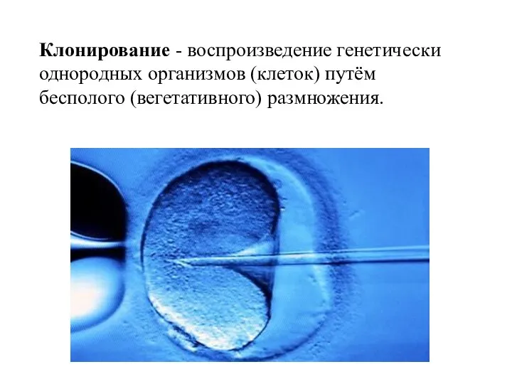 Клонирование - воспроизведение генетически однородных организмов (клеток) путём бесполого (вегетативного) размножения.