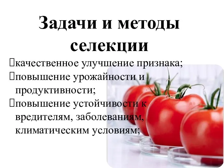 Задачи и методы селекции качественное улучшение признака; повышение урожайности и продуктивности; повышение