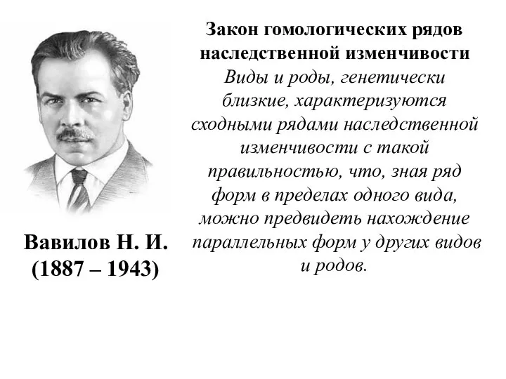 Вавилов Н. И. (1887 – 1943) Закон гомологических рядов наследственной изменчивости Виды