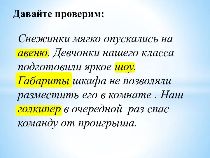 Снежинки мягко опускались на авеню. Девчонки нашего класса подготовили яркое шоу. Габариты