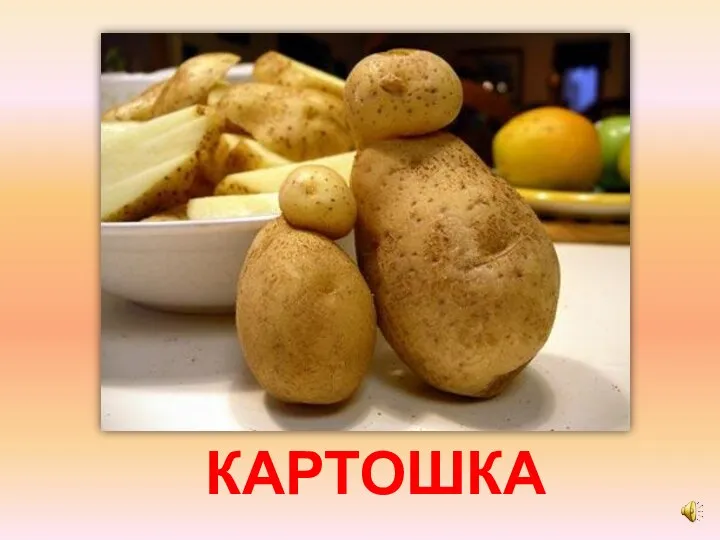 КАРТОШКА