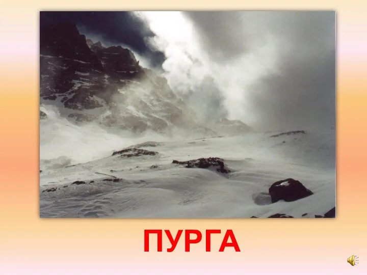 ПУРГА