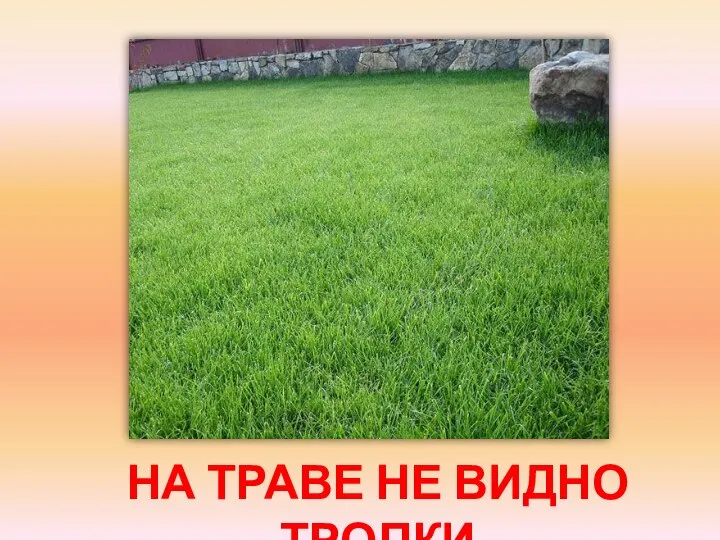 НА ТРАВЕ НЕ ВИДНО ТРОПКИ