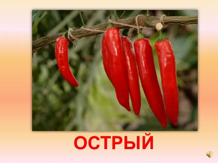 ОСТРЫЙ