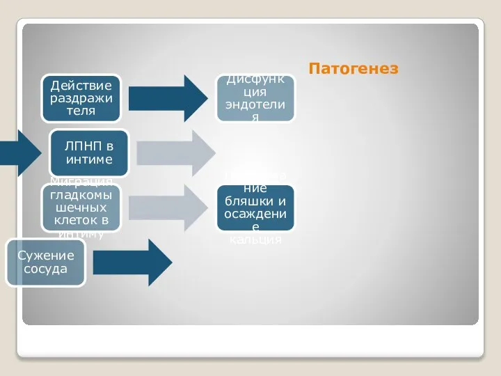 Патогенез Действие раздражителя Дисфункция эндотелия ЛПНП в интиме Миграция гладкомышечных клеток в