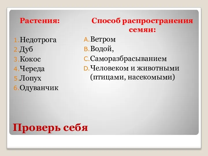 Проверь себя Растения: Недотрога Дуб Кокос Череда Лопух Одуванчик Способ распространения семян: