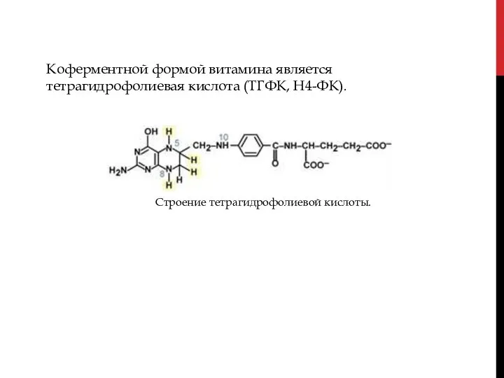 Коферментной формой витамина является тетрагидрофолиевая кислота (ТГФК, Н4-ФК). Строение тетрагидрофолиевой кислоты.