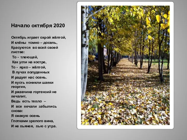 Начало октября 2020 Октябрь играет охрой жёлтой, И клёны томно – досель,
