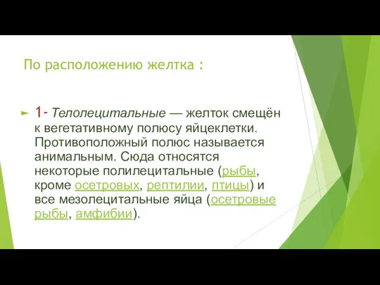 По расположению желтка : 1- Телолецитальные — желток смещён к вегетативному полюсу