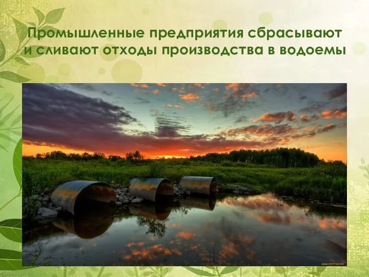 Промышленные предприятия сбрасывают и сливают отходы производства в водоемы