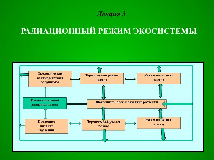 Радиационный режим экосистемы