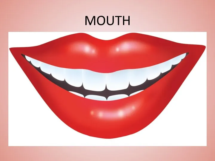 MOUTH