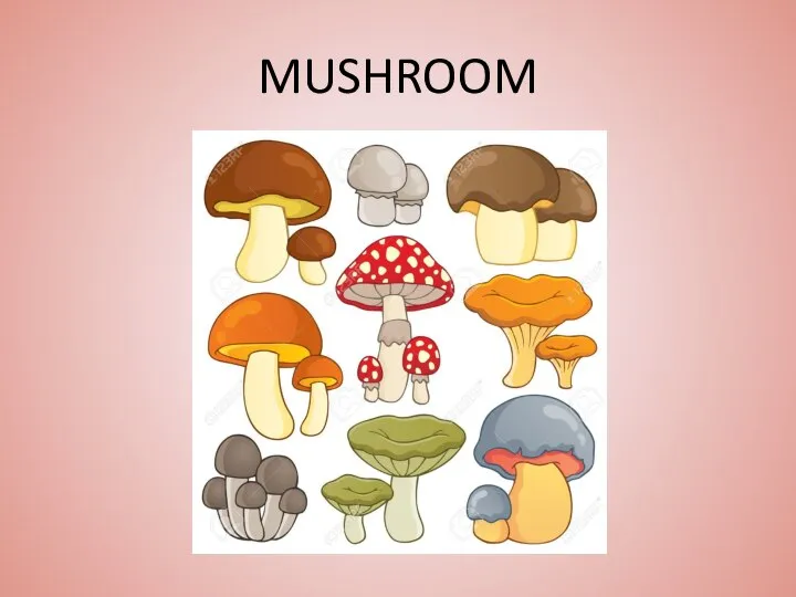 MUSHROOM