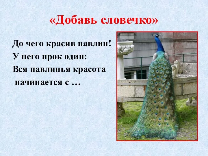 «Добавь словечко» До чего красив павлин! У него прок один: Вся павлинья красота начинается с …