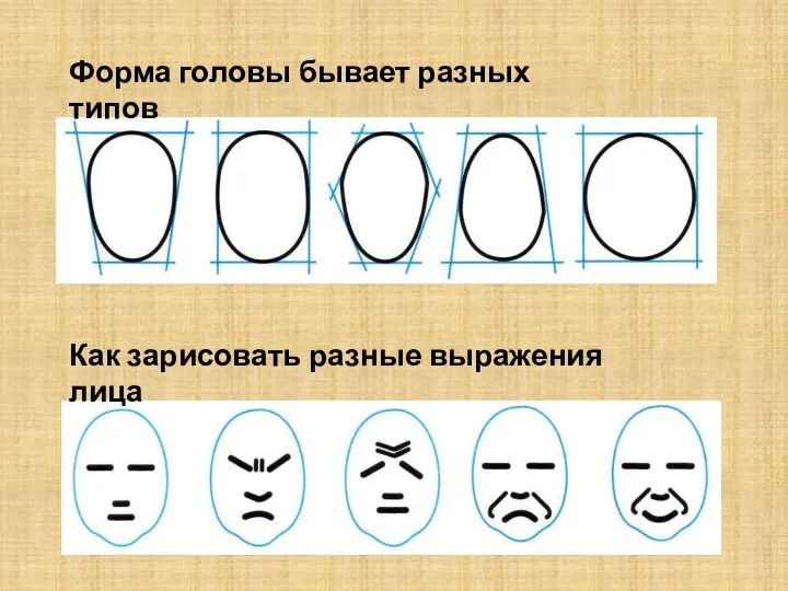 Форма головы бывает разных типов Как зарисовать разные выражения лица