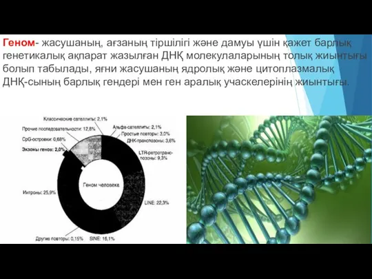 Геном- жасушаның, ағзаның тіршілігі және дамуы үшін қажет барлық генетикалық ақпарат жазылған