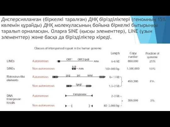 Дисперсияланған (біркелкі таралған) ДНҚ бірізділіктері (геномның 15% көлемін құрайды) ДНҚ молекуласының бойына