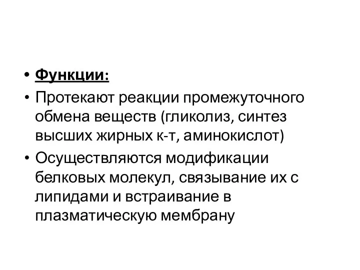 Функции: Протекают реакции промежуточного обмена веществ (гликолиз, синтез высших жирных к-т, аминокислот)