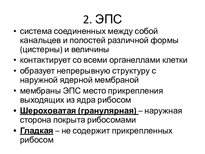 2. ЭПС система соединенных между собой канальцев и полостей различной формы (цистерны)