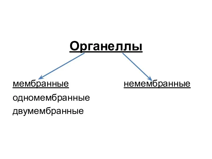 Органеллы мембранные немембранные одномембранные двумембранные