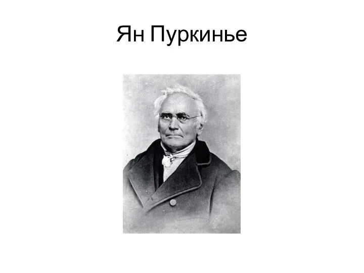 Ян Пуркинье