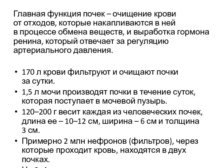 Главная функция почек – очищение крови от отходов, которые накапливаются в ней