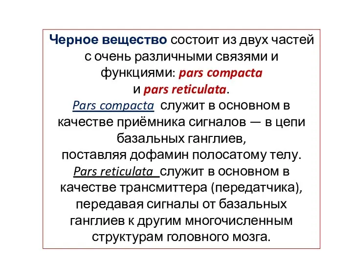 Черное вещество состоит из двух частей с очень различными связями и функциями: