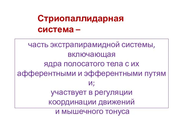 Стриопаллидарная система – часть экстрапирамидной системы, включающая ядра полосатого тела с их