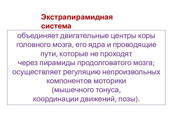 объединяет двигательные центры коры головного мозга, его ядра и проводящие пути, которые