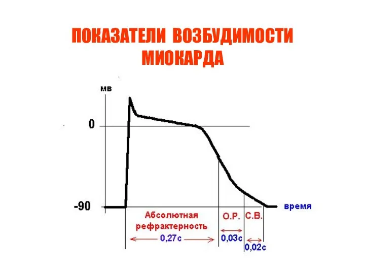 ПОКАЗАТЕЛИ ВОЗБУДИМОСТИ МИОКАРДА