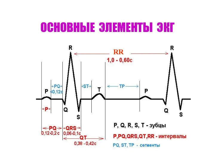 ОСНОВНЫЕ ЭЛЕМЕНТЫ ЭКГ RR