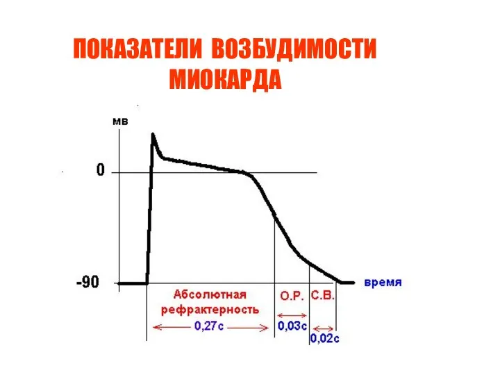 ПОКАЗАТЕЛИ ВОЗБУДИМОСТИ МИОКАРДА