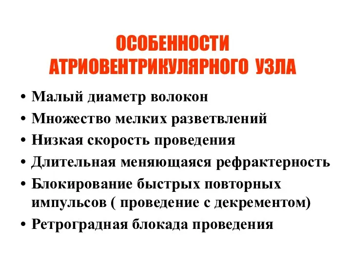 ОСОБЕННОСТИ АТРИОВЕНТРИКУЛЯРНОГО УЗЛА Малый диаметр волокон Множество мелких разветвлений Низкая скорость проведения