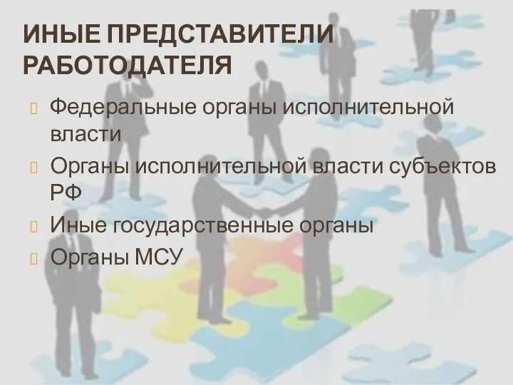 ИНЫЕ ПРЕДСТАВИТЕЛИ РАБОТОДАТЕЛЯ Федеральные органы исполнительной власти Органы исполнительной власти субъектов РФ