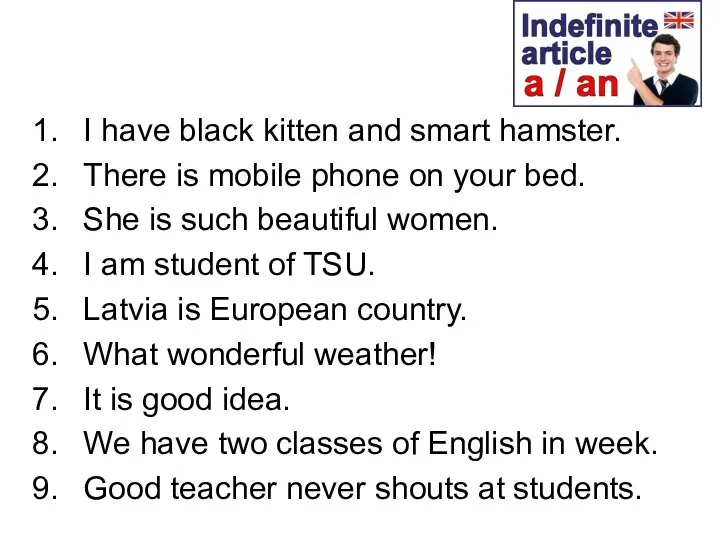 I have black kitten and smart hamster. There is mobile phone on