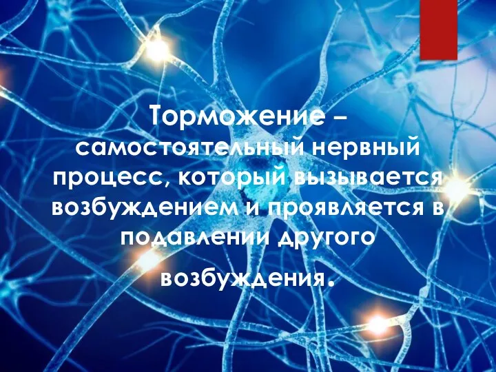 Торможение – самостоятельный нервный процесс, который вызывается возбуждением и проявляется в подавлении другого возбуждения.