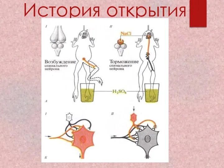 История открытия