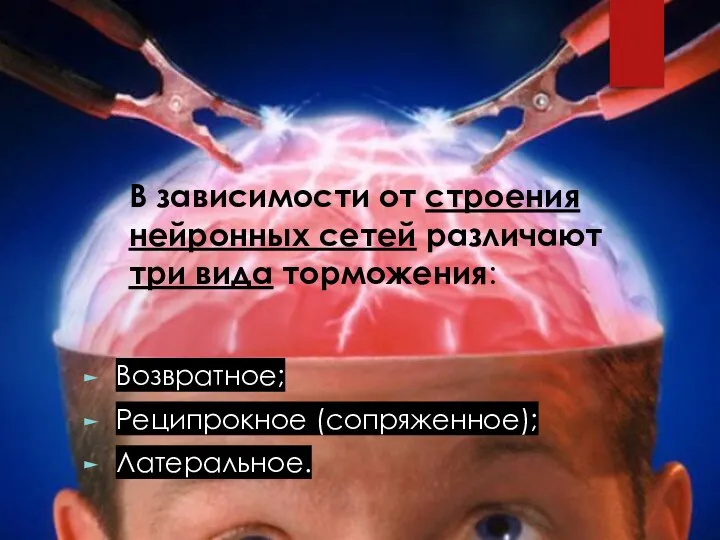 В зависимости от строения нейронных сетей различают три вида торможения: Возвратное; Реципрокное (сопряженное); Латеральное.