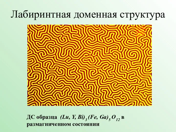 Лабиринтная доменная структура ДС образца (Lu, Y, Bi)3 (Fe, Ga)5 O12 в размагниченном состоянии