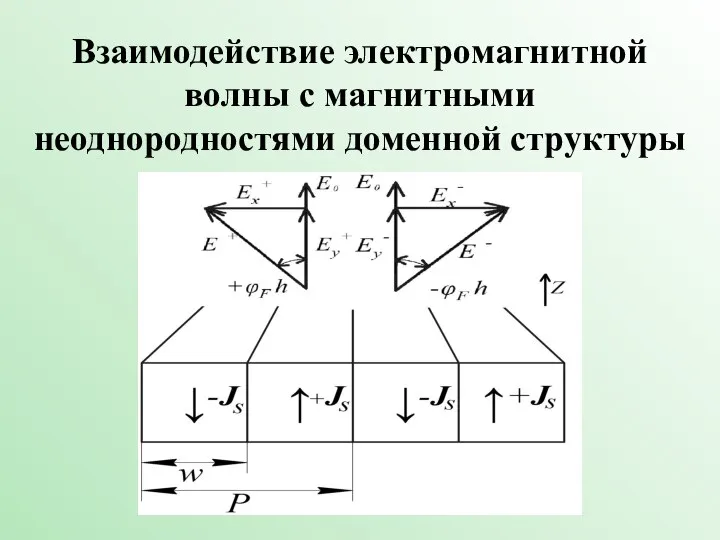 Взаимодействие электромагнитной волны с магнитными неоднородностями доменной структуры