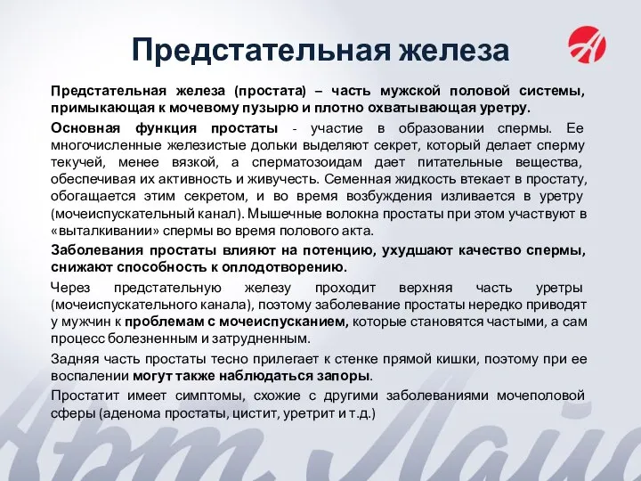 Предстательная железа Предстательная железа (простата) – часть мужской половой системы, примыкающая к