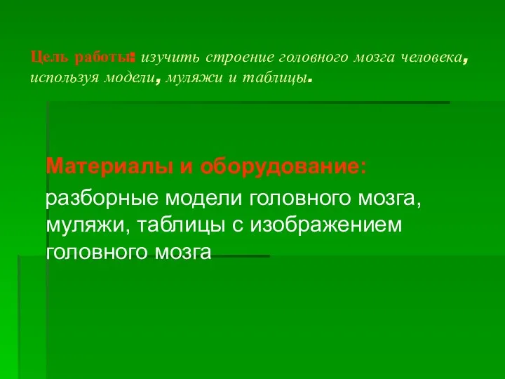 Цель работы: изучить строение головного мозга человека, используя модели, муляжи и таблицы.