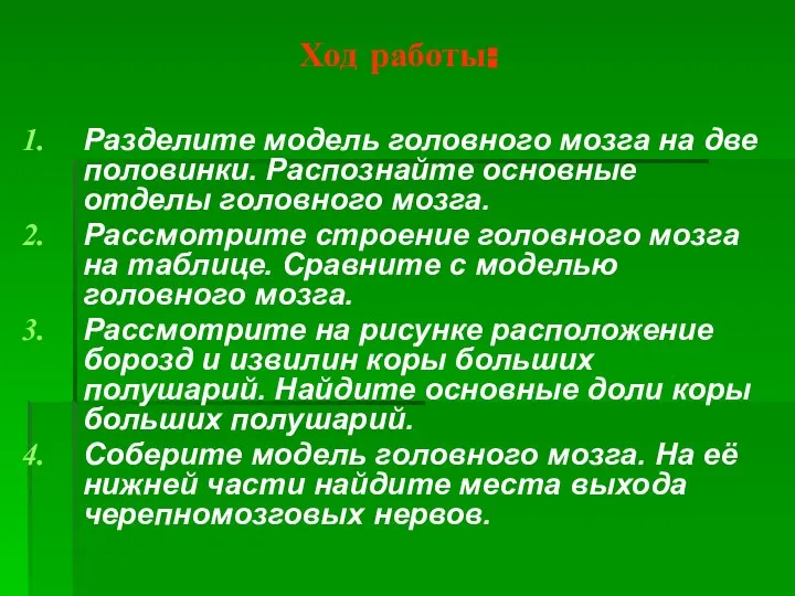 Ход работы: Разделите модель головного мозга на две половинки. Распознайте основные отделы