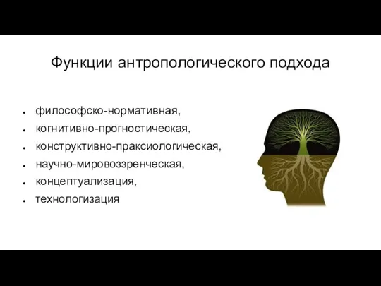 Функции антропологического подхода философско-нормативная, когнитивно-прогностическая, конструктивно-праксиологическая, научно-мировоззренческая, концептуализация, технологизация