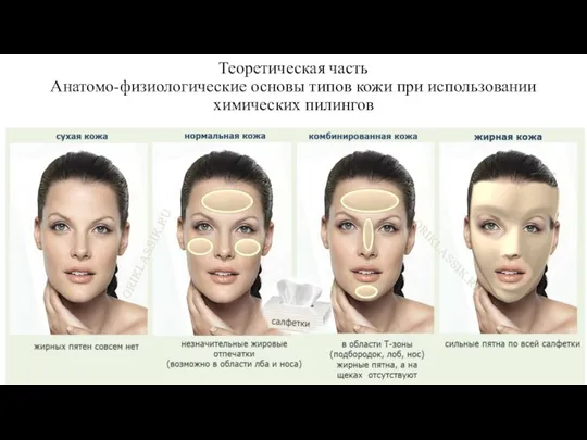 Теоретическая часть Анатомо-физиологические основы типов кожи при использовании химических пилингов
